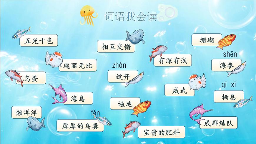 【教学课件】6.16《富饶的西沙群岛》第5页