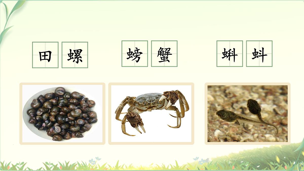 【教学课件】《语文园地七》第8页