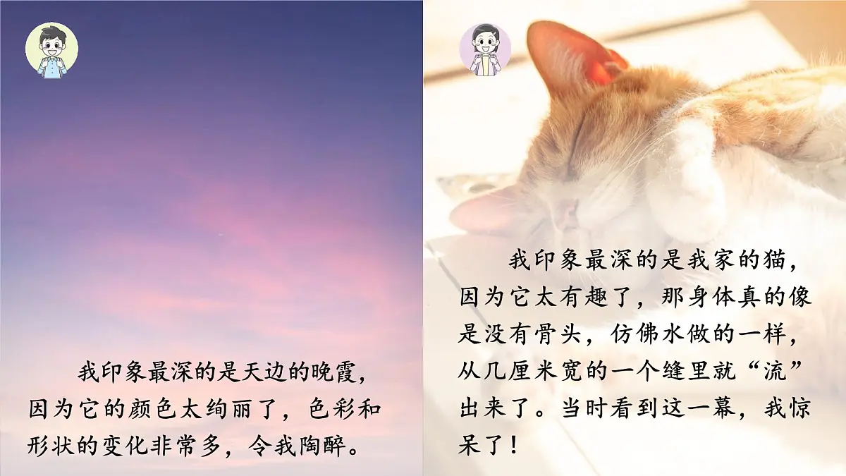 【教学课件】《习作：我们眼中的缤纷世界》第3页