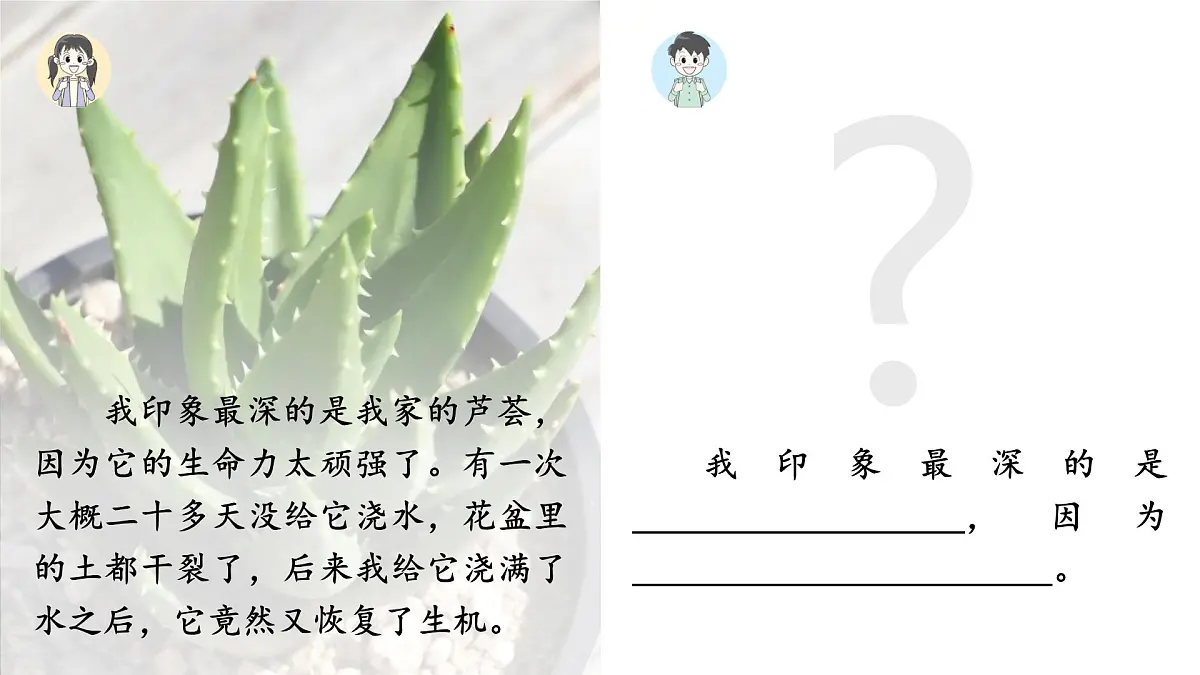 【教学课件】《习作：我们眼中的缤纷世界》第4页