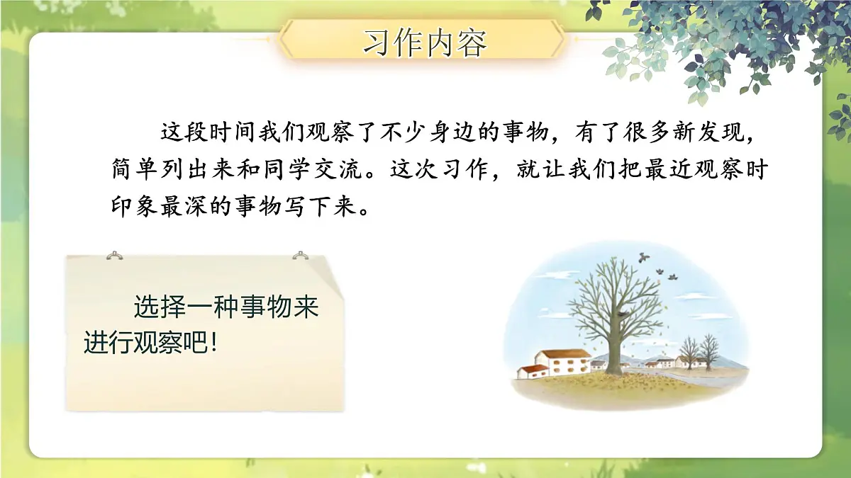【教学课件】《习作：我们眼中的缤纷世界》第6页