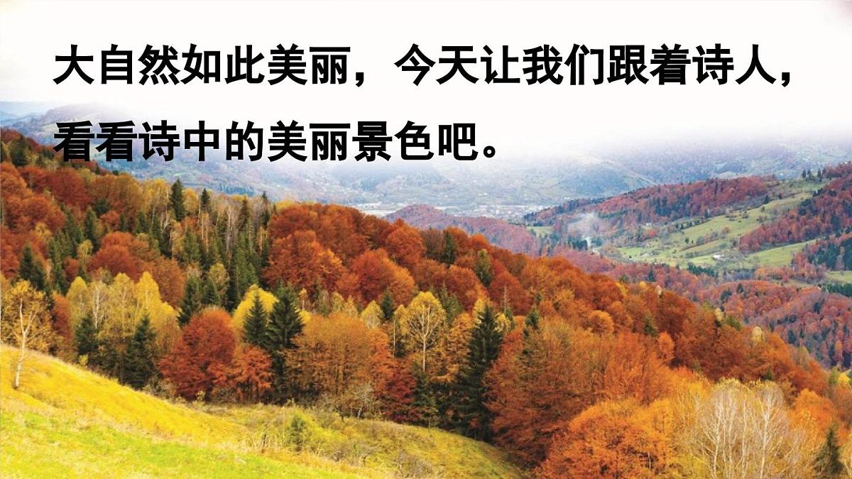 【教学课件】6.17《鹿柴》第5页