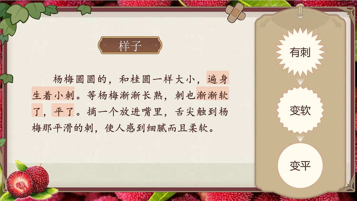 人教版（2024）三年级语文上册课件 第五单元 《习作例文：我家的小狗我爱故乡的杨梅》第4页