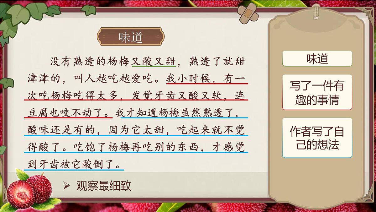 人教版（2024）三年级语文上册课件 第五单元 《习作例文：我家的小狗我爱故乡的杨梅》第6页