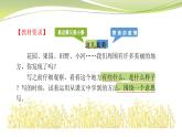 2025-2026學年度統(tǒng)編版語文三年級上冊第六單元習作：這兒真美-課件