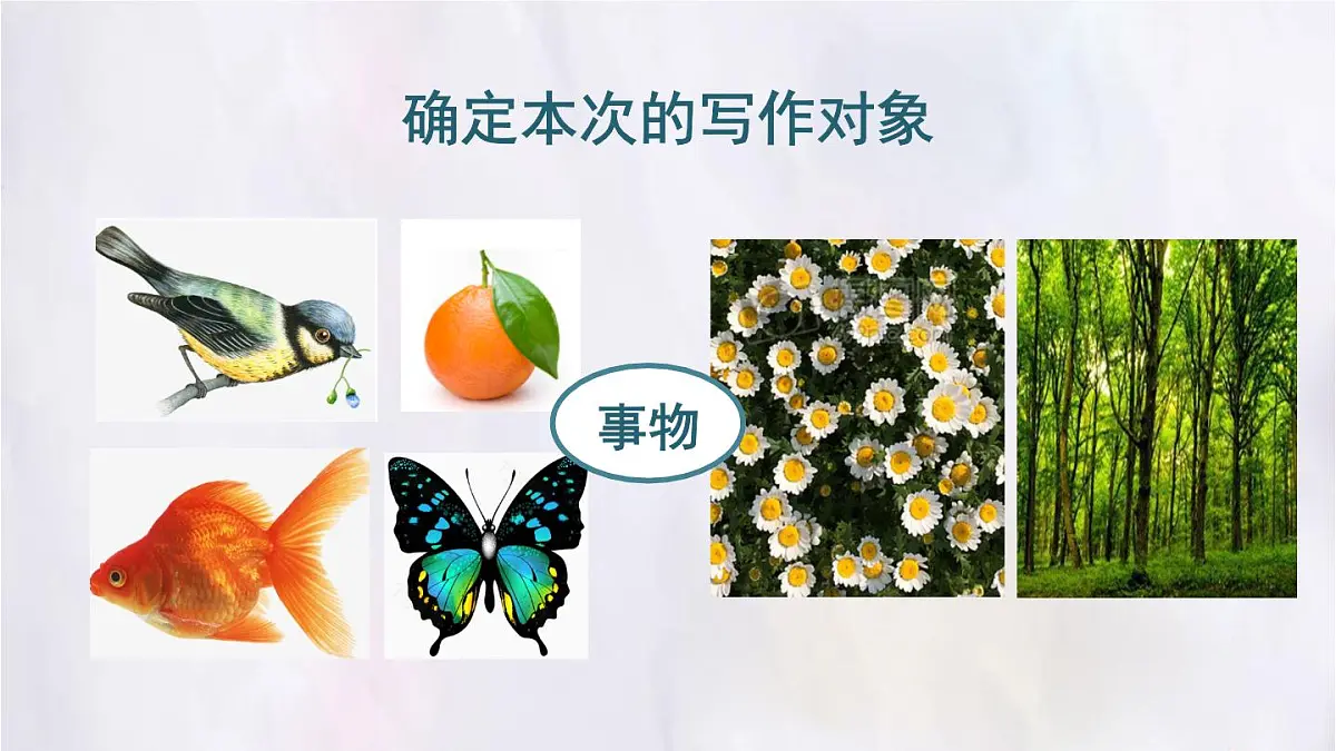 2025-2026学年度统编版语文三年级上册第五单元习作：我们眼中的缤纷世界 课件第3页