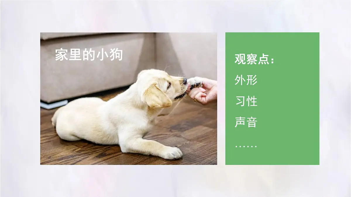 2025-2026学年度统编版语文三年级上册第五单元习作：我们眼中的缤纷世界 课件第6页