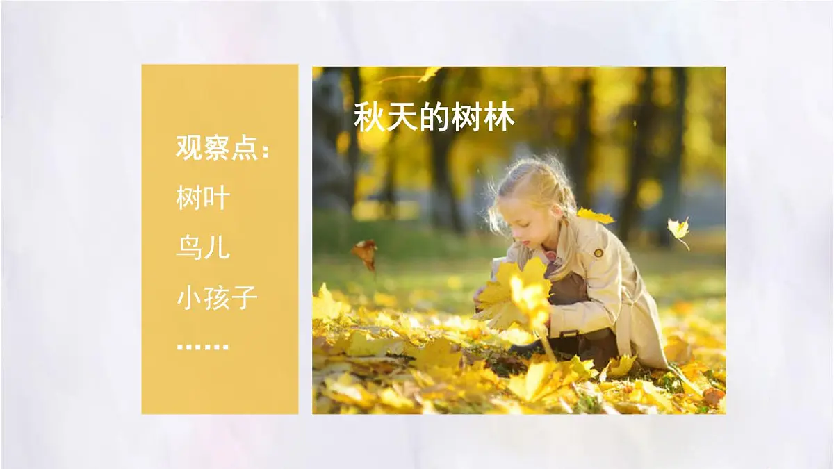 2025-2026学年度统编版语文三年级上册第五单元习作：我们眼中的缤纷世界 课件第7页