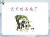 部編版小學(xué)語文四年級(jí)上冊(cè)《習(xí)作例文》課件+教案