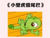 第八单元20《小壁虎借尾巴》课件-2024-2025学年统编版语文一年级下册