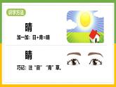 第一单元3小青蛙+课件+2024-2025学年统编版语文一年级下册
