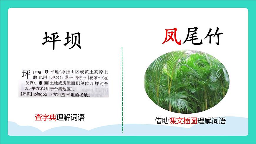 2025-2026学年度统编版语文三年级上册1 大青树下的小学 课件第6页