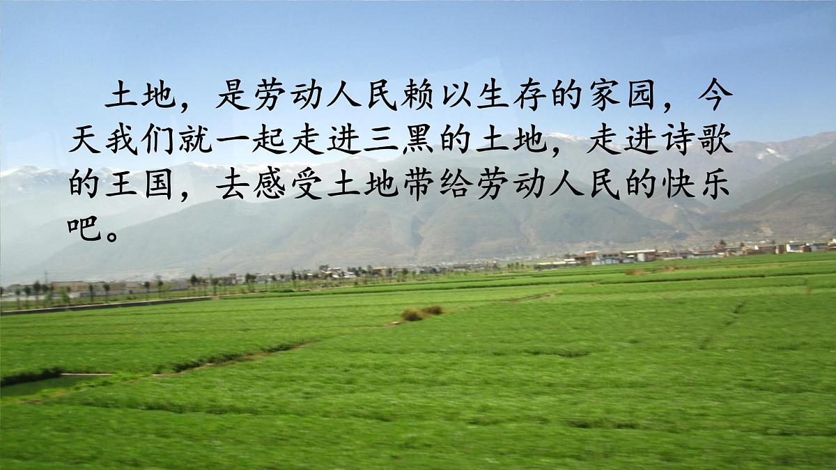 统编版语文六年级上册课件《21 三黑和土地》第1页