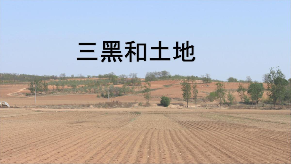 统编版语文六年级上册课件《21 三黑和土地》第2页