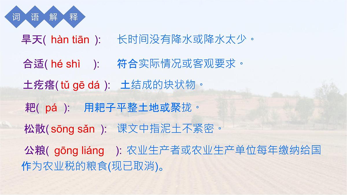 统编版语文六年级上册课件《21 三黑和土地》第8页