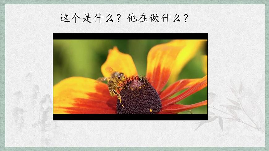 统编版语文五年级上册课件第二单元《语文园地》第3页