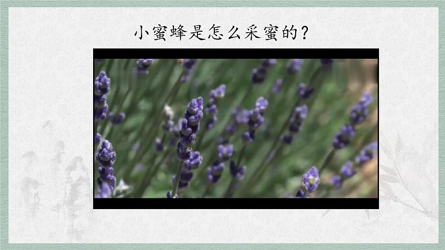 统编版语文五年级上册课件第二单元《语文园地》第4页