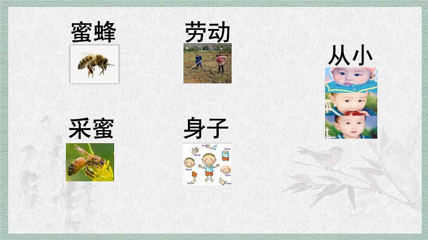 统编版语文五年级上册课件第二单元《语文园地》第8页