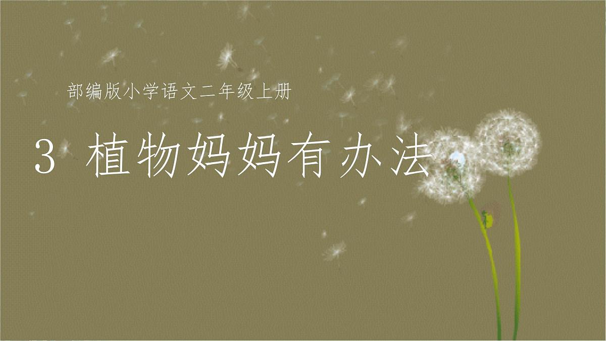 3 植物妈妈有办法 (课件) 2025-2026学年语文二年级上册统编版第1页