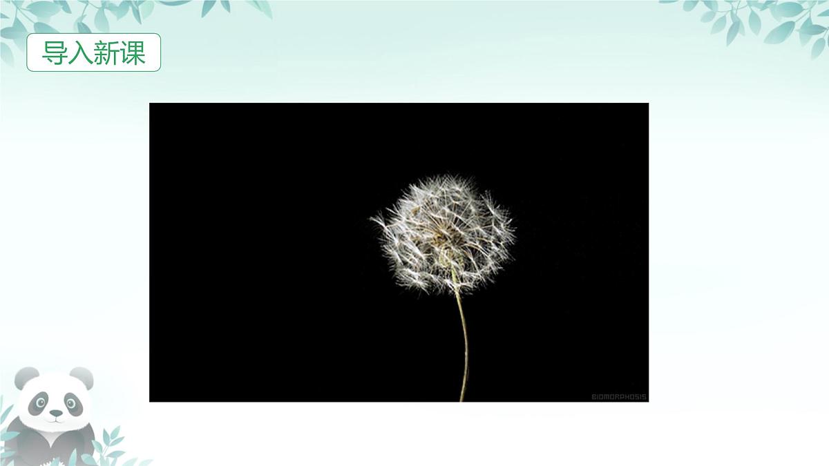 3 植物妈妈有办法 (课件) 2025-2026学年语文二年级上册统编版第2页