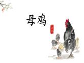 统编版语文四年级下第四单元14母鸡课件