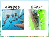 【核心素養(yǎng)】部編版小學(xué)語文三年級(jí)上冊(cè)口語交際：我的暑假生活-課件+教案+同步練習(xí)（含教學(xué)反思）