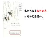 统编版语文四年级下第四单元13猫教学课件