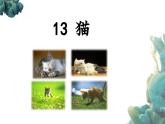 统编版语文四年级下第四单元13猫教学课件