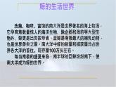 統(tǒng)編版語文五年級上冊課件第五單元習(xí)作例文《鯨》