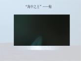 統(tǒng)編版語文五年級上冊課件第五單元習(xí)作例文《鯨》