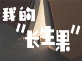 统编版语文五年级上册第八单元课件《27 我的“长生果”》