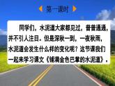 【核心素養(yǎng)】部編版小學(xué)語文三年級(jí)上冊(cè)5 鋪滿金色巴掌的水泥道-課件+教案+同步練習(xí)（含教學(xué)反思）