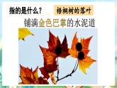 【核心素養(yǎng)】部編版小學(xué)語文三年級(jí)上冊(cè)5 鋪滿金色巴掌的水泥道-課件+教案+同步練習(xí)（含教學(xué)反思）