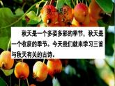 【核心素養(yǎng)】部編版小學(xué)語文三年級(jí)上冊(cè)4 古詩三首-課件+教案+同步練習(xí)（含教學(xué)反思）