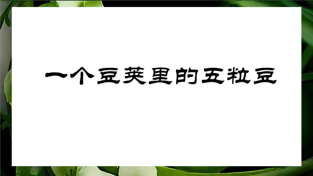 统编版语文四年级上册课件《5 一个豆荚里的五粒豆》第1页