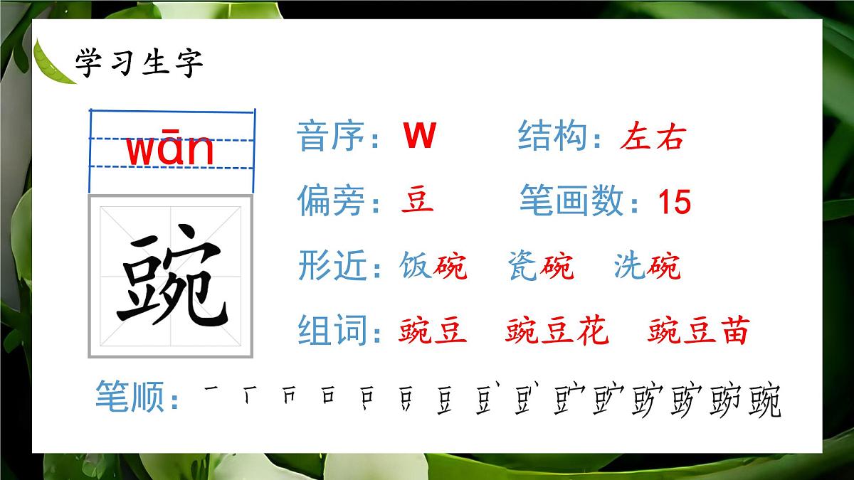 统编版语文四年级上册课件《5 一个豆荚里的五粒豆》第5页