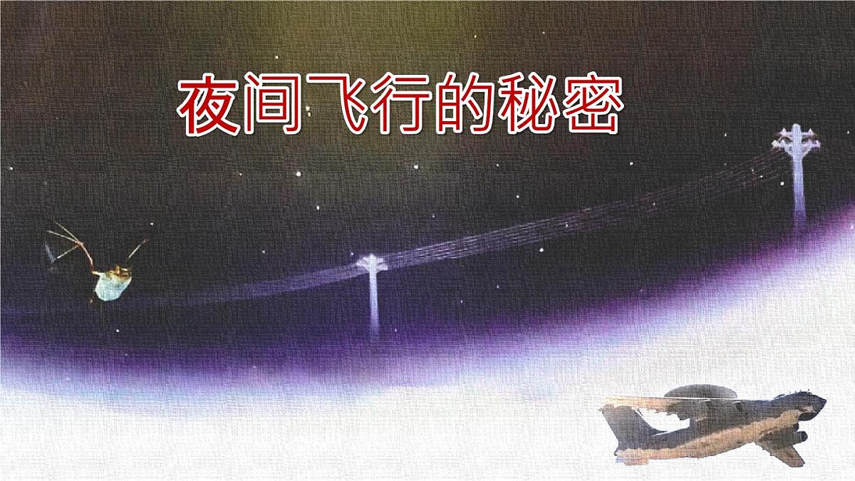 统编版语文四年级上册课件《6 夜间飞行的秘密》第1页