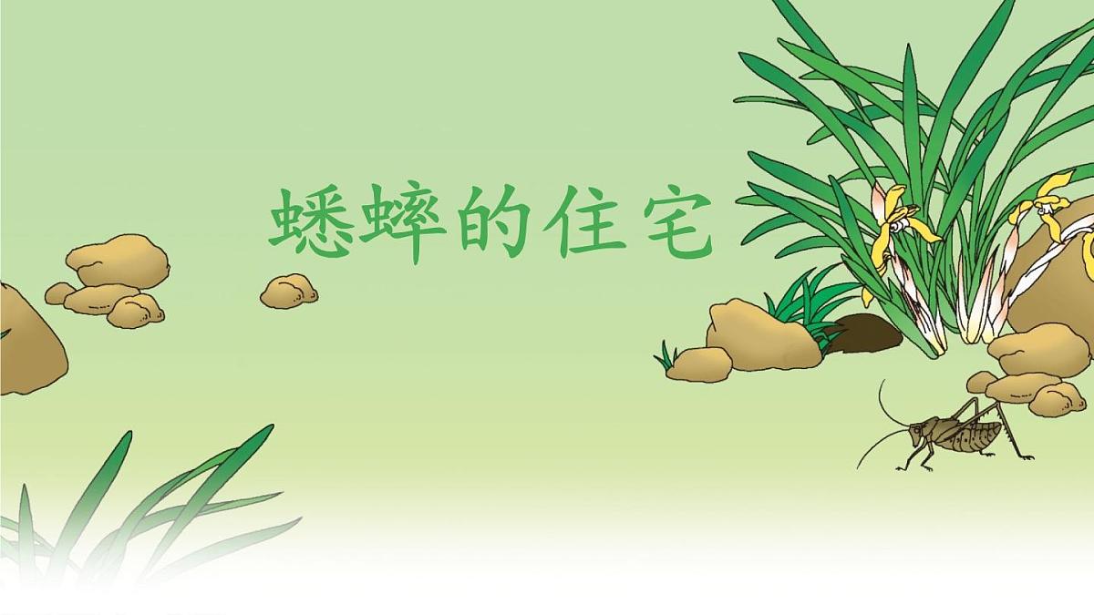 统编版语文四年级上册课件《11 蟋蟀的住宅》第1页