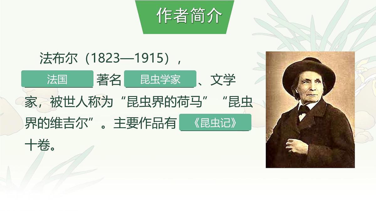统编版语文四年级上册课件《11 蟋蟀的住宅》第4页