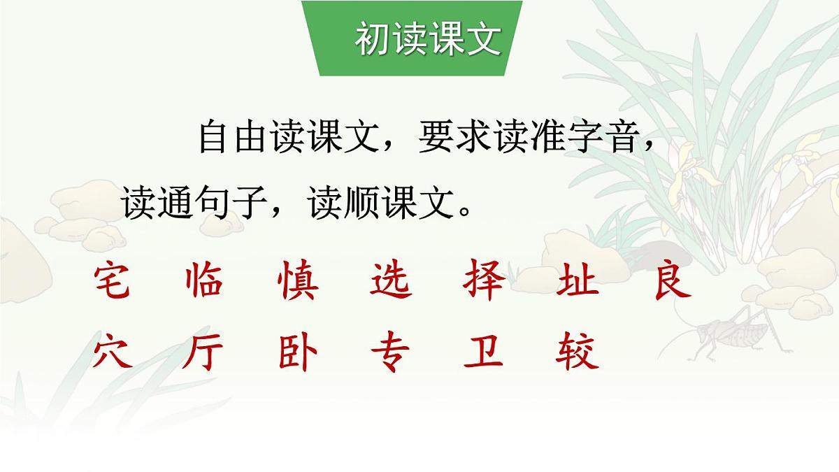 统编版语文四年级上册课件《11 蟋蟀的住宅》第5页