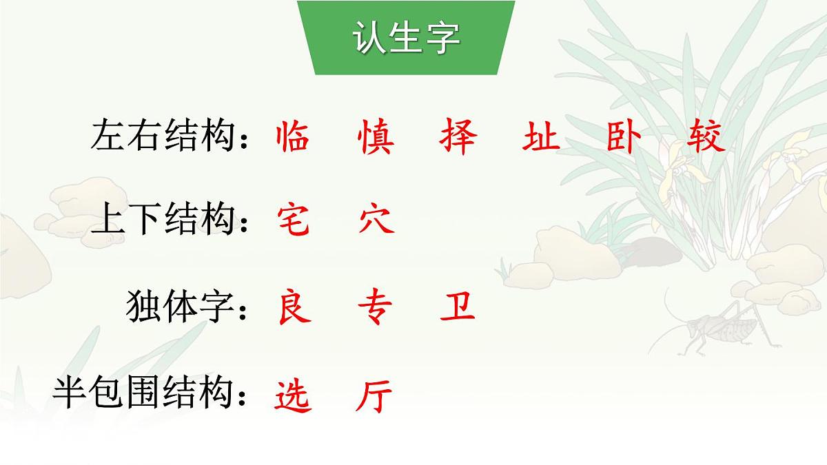 统编版语文四年级上册课件《11 蟋蟀的住宅》第6页