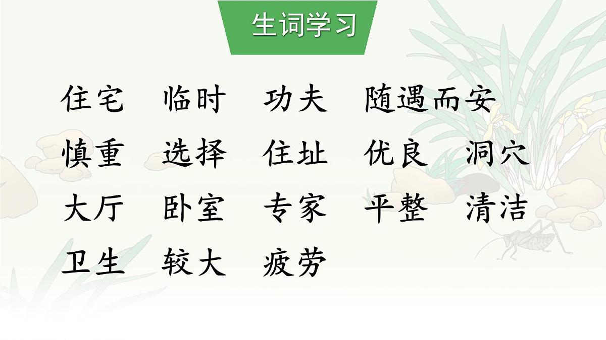 统编版语文四年级上册课件《11 蟋蟀的住宅》第7页