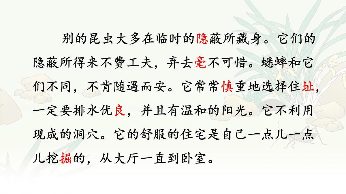 统编版语文四年级上册课件《11 蟋蟀的住宅》第8页