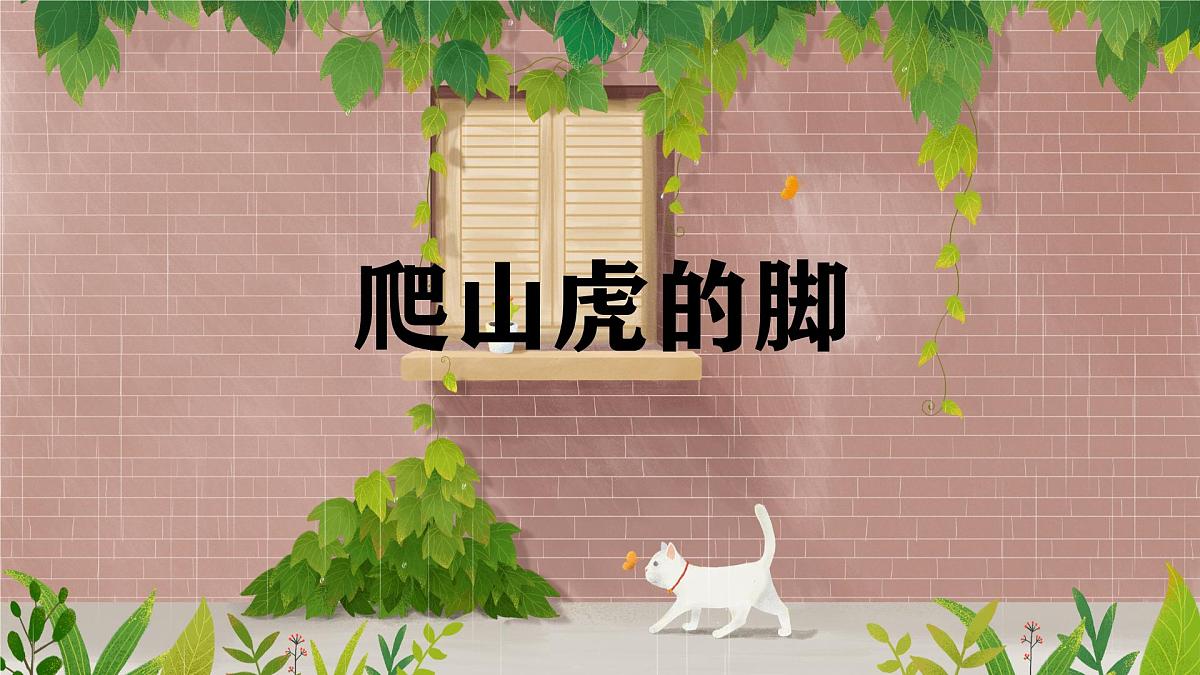 统编版语文四年级上册课件《10 爬山虎的脚》第1页