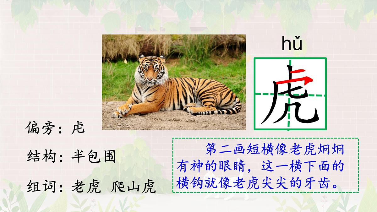 统编版语文四年级上册课件《10 爬山虎的脚》第4页