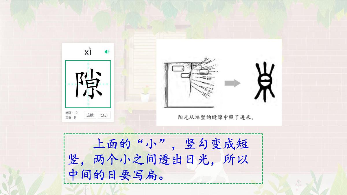 统编版语文四年级上册课件《10 爬山虎的脚》第5页