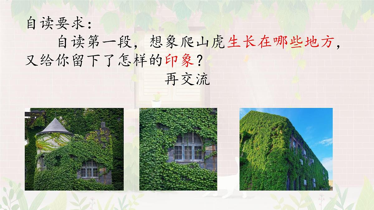 统编版语文四年级上册课件《10 爬山虎的脚》第7页