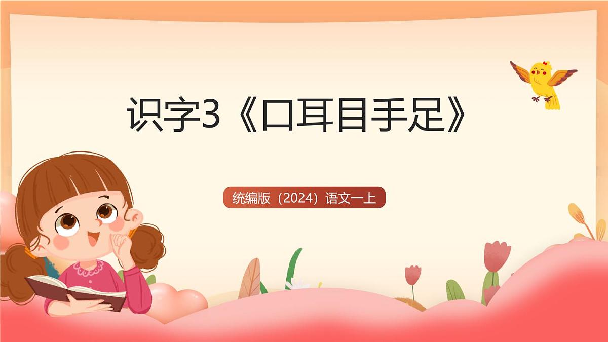 统编版（2024）语文一上 识字3《口耳目手足》课件第1页