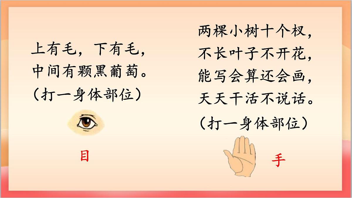 统编版（2024）语文一上 识字3《口耳目手足》课件第4页