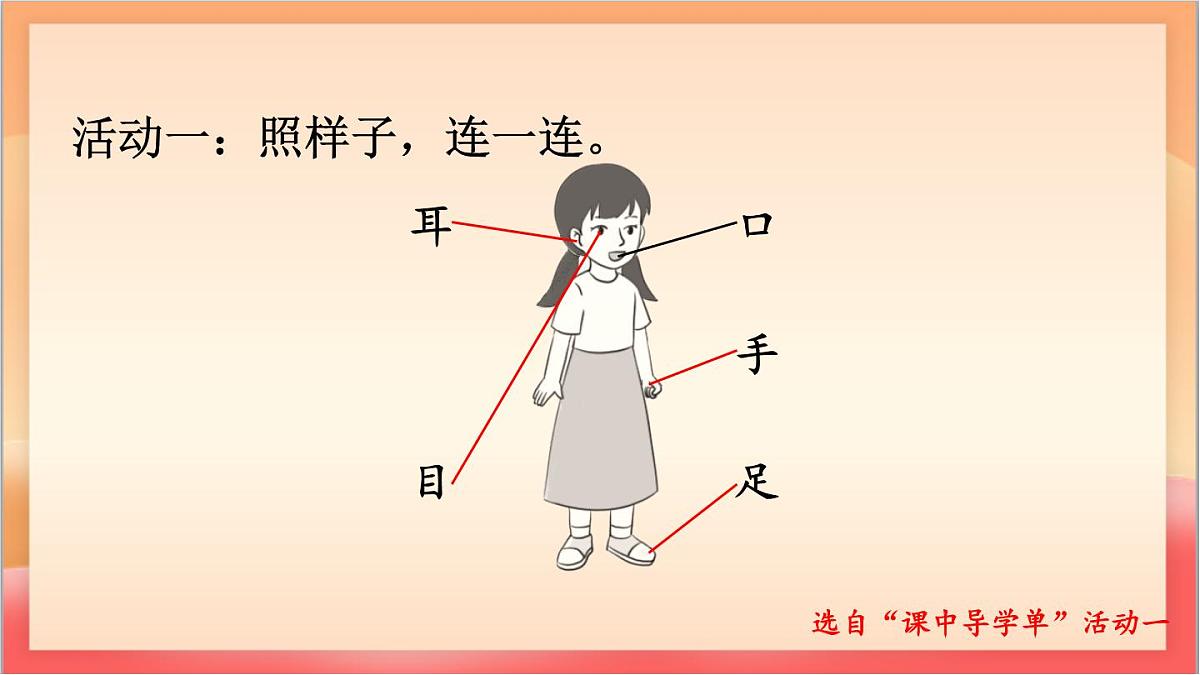 统编版（2024）语文一上 识字3《口耳目手足》课件第8页